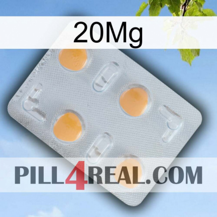 20Mg 24